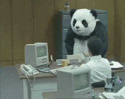 Wütender Panda zerstört Computer im Büro